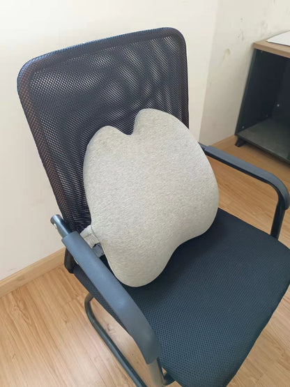 Lab Extra Dense Lumbar Pillow - Patented Ergonomic Multi-Region Firm Back Support for Lower Back Pain Relief - Lumbar Su