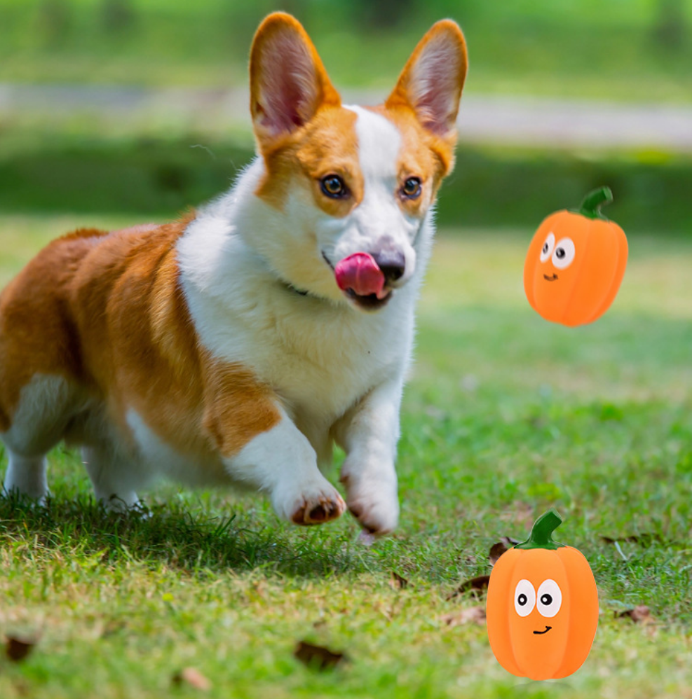Pet Toy Latex Sound-emitting Pumpkin Realistic Cartoon Pumpkin Durable Dog Toy