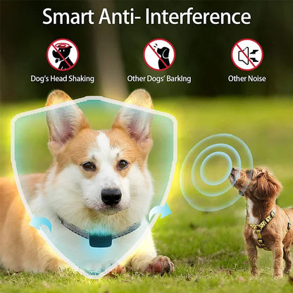 Pet Dog Anti Bark Device USB Ultrasonic Intelligent Electric Training Stop Barking Vibration Water Proof Collar Pet Products