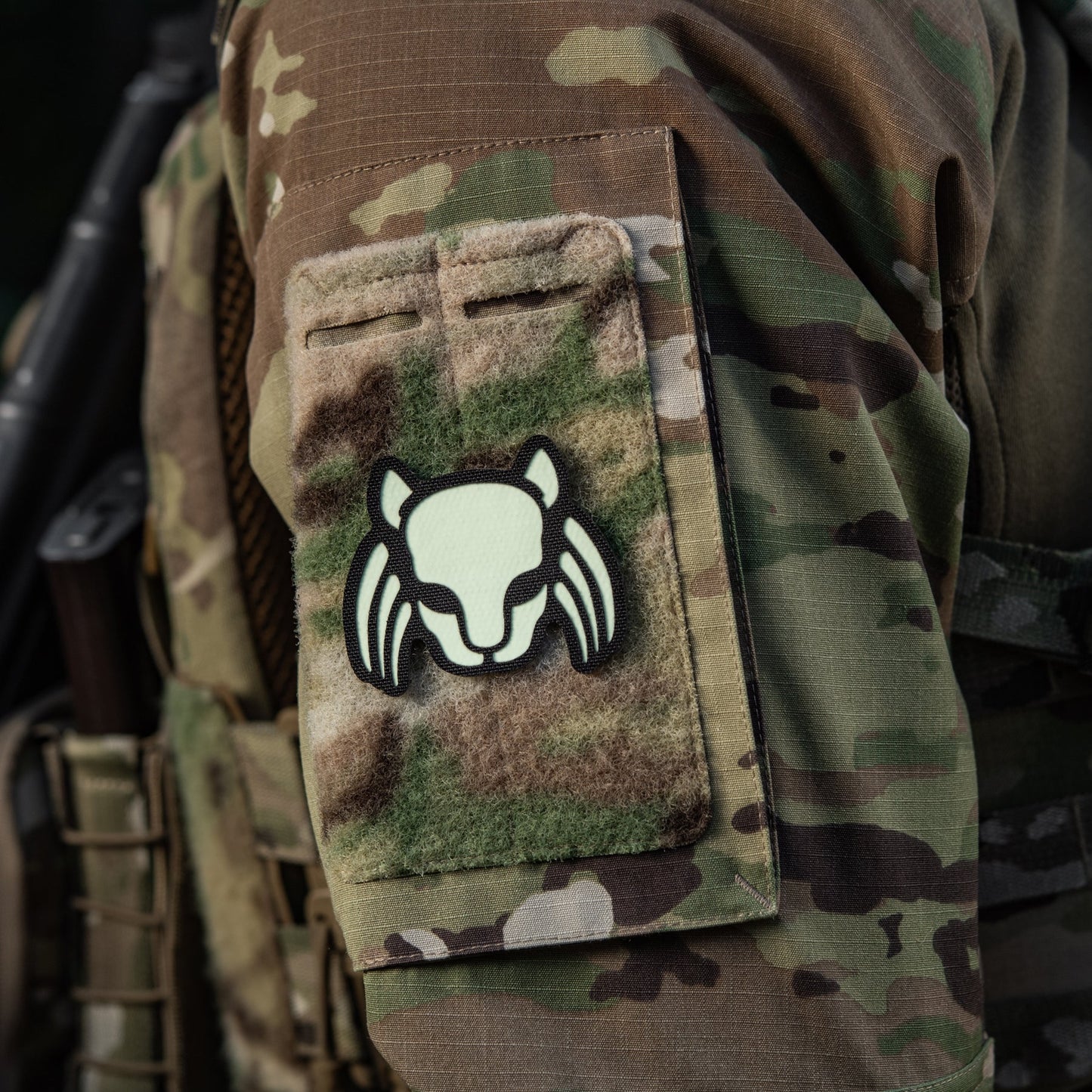 M-Tac Patch Cat Predator