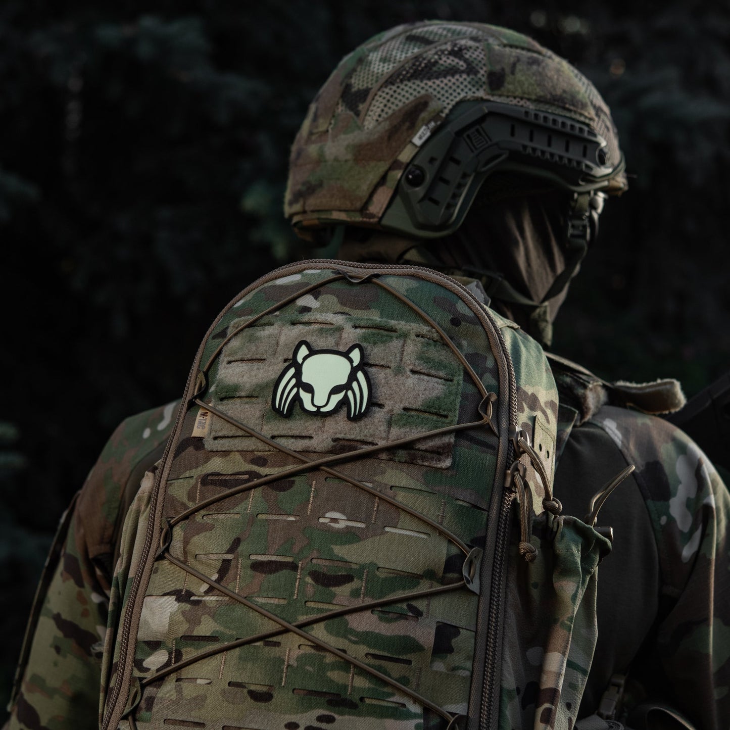 M-Tac Patch Cat Predator