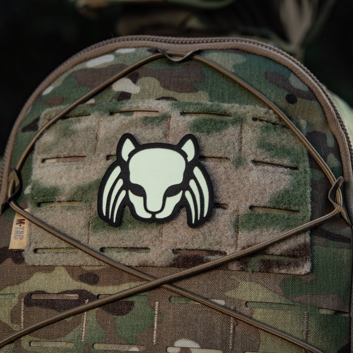 M-Tac Patch Cat Predator
