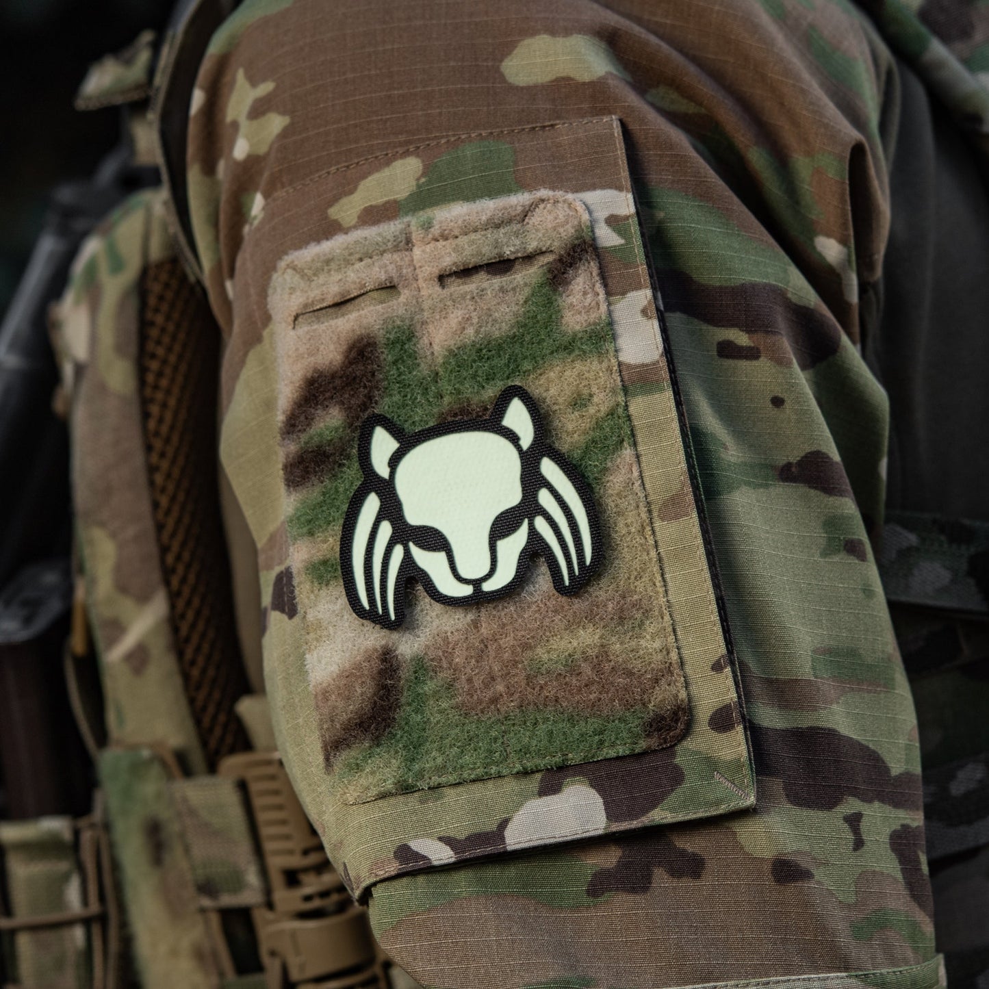M-Tac Patch Cat Predator
