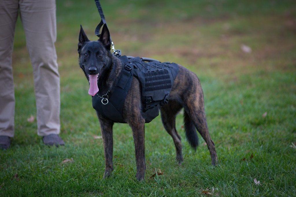 Bulletproof Vests for Dogs | Breathable Bulletproof K-9 Harness
