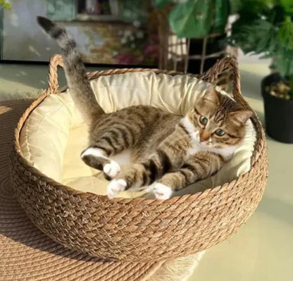 Handmade Pet House