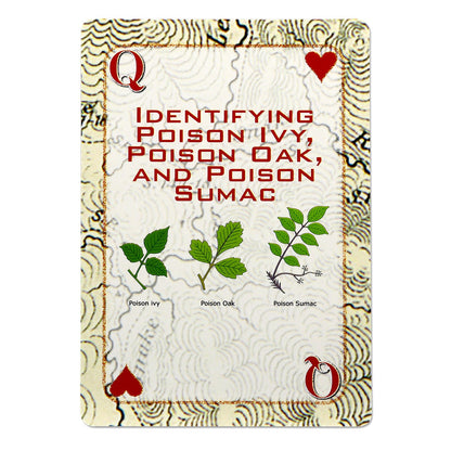 Quake Kits Survival Playing Cards | Essential Skills on Every Card
